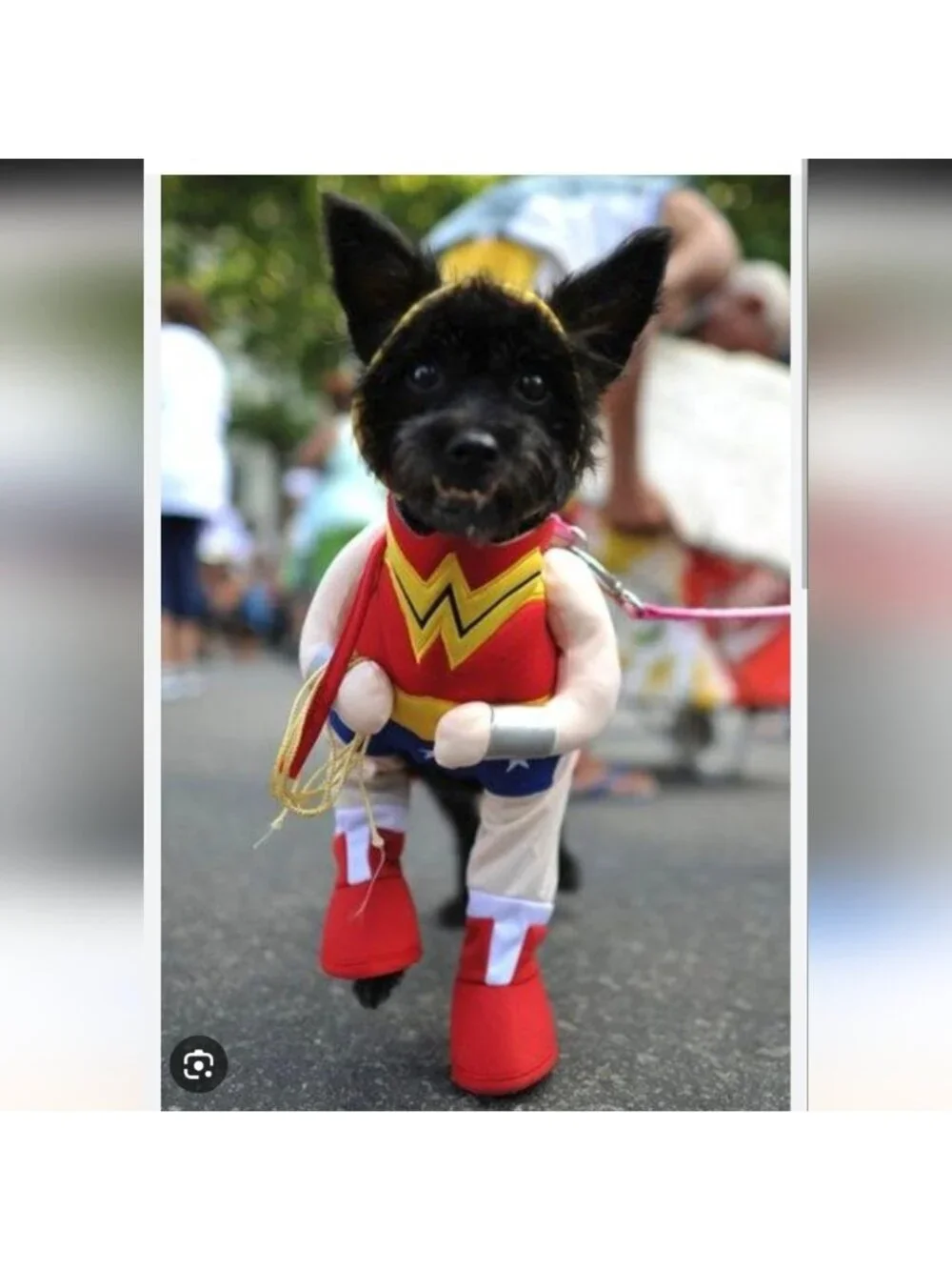 Wonder Woman pet costume Dog Costume Size small Superhero Dog Costume
